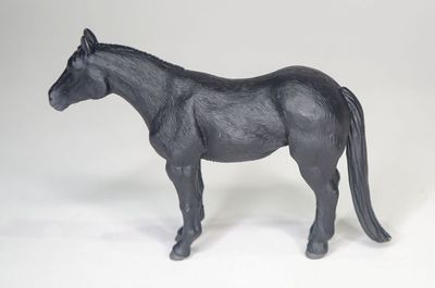 Black Quarter Horse