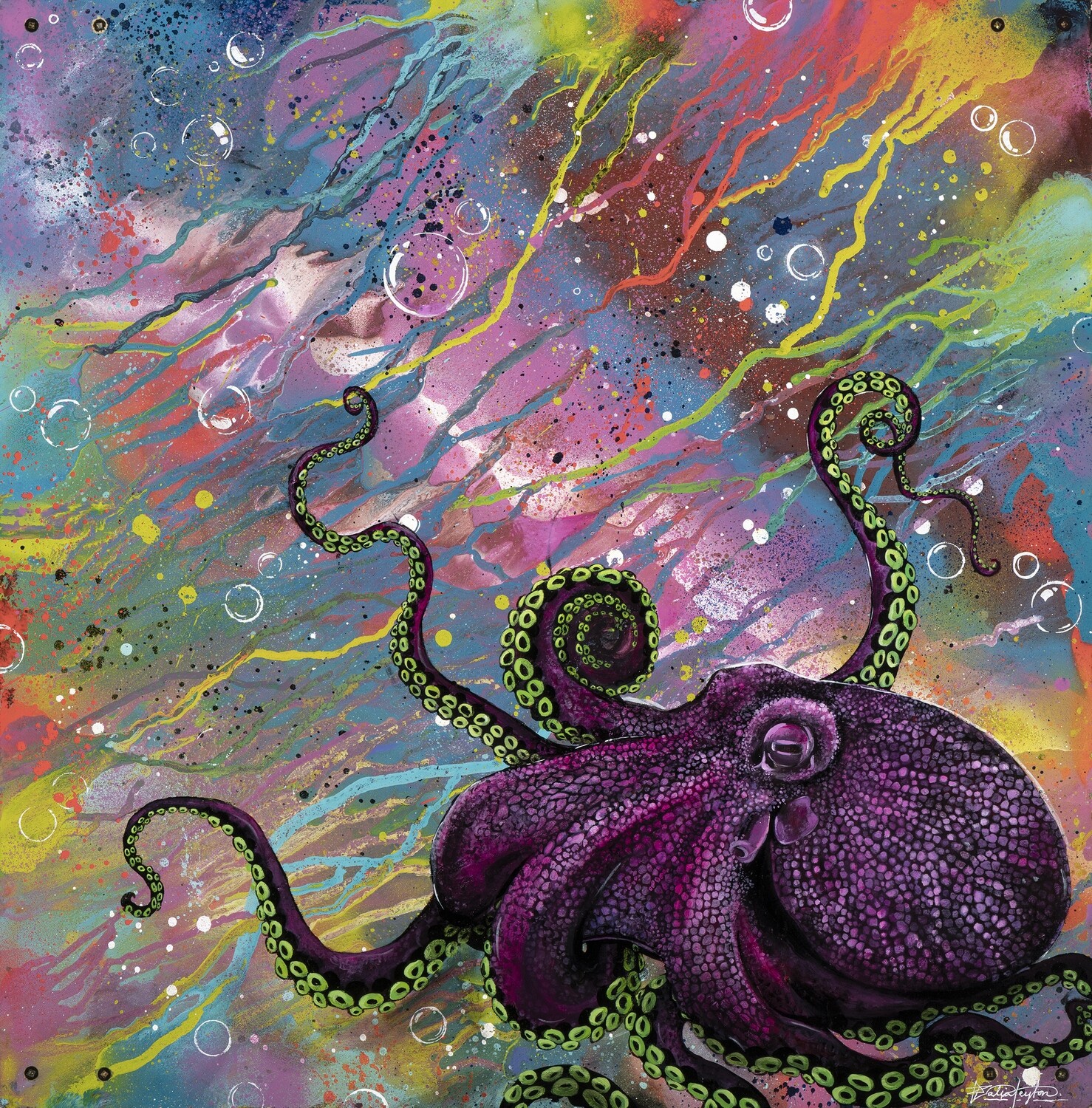 &quot;Pink Puss&quot; Rainbow Octopus Fine Art Print