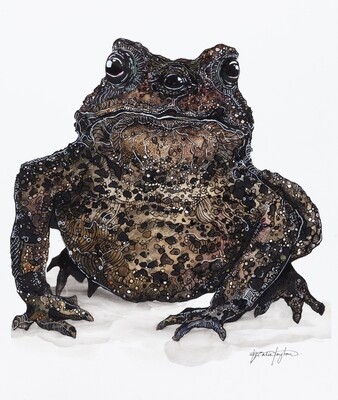 &quot;Third Eye Toad&#39; - Fantastical Illustration