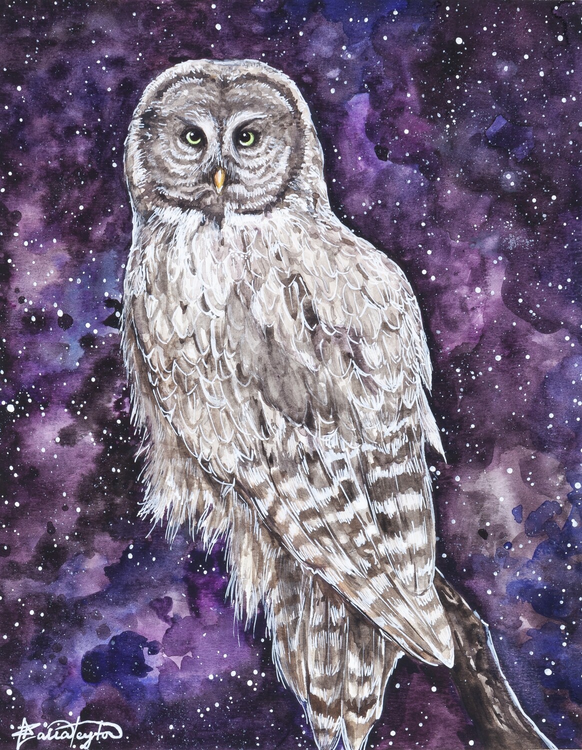 &quot;Spirit in the Night&quot; - Grey Owl