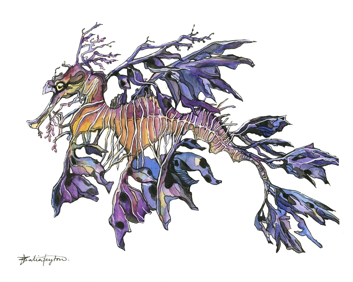 &quot;The Leafy Sea Dragon&quot;