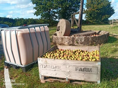 Perry Pear juice 900 Litres