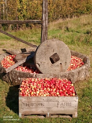 Sharp apples