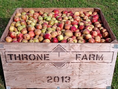 Browns Apples in bulk Tonne Shake & Catch harvested