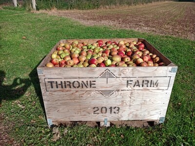 Browns Apples in wooden bins shake & catch harvested