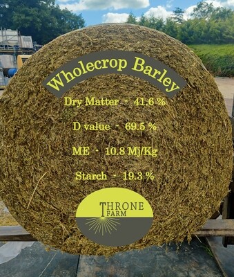 Wholecrop Barley