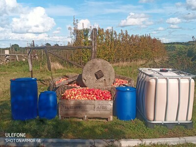 Harry Masters Jersey apple juice 900 Litres Harry Masters Jersey apple juice 900 Litres