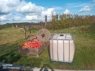 Harry Masters Jersey apple juice 900 Litres