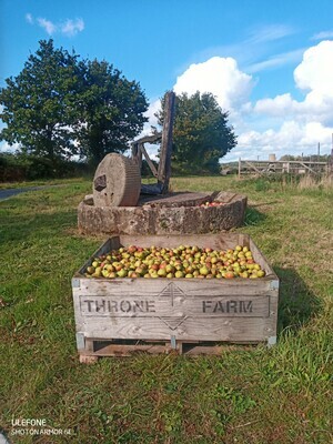 Perry Pear juice 900 Litres