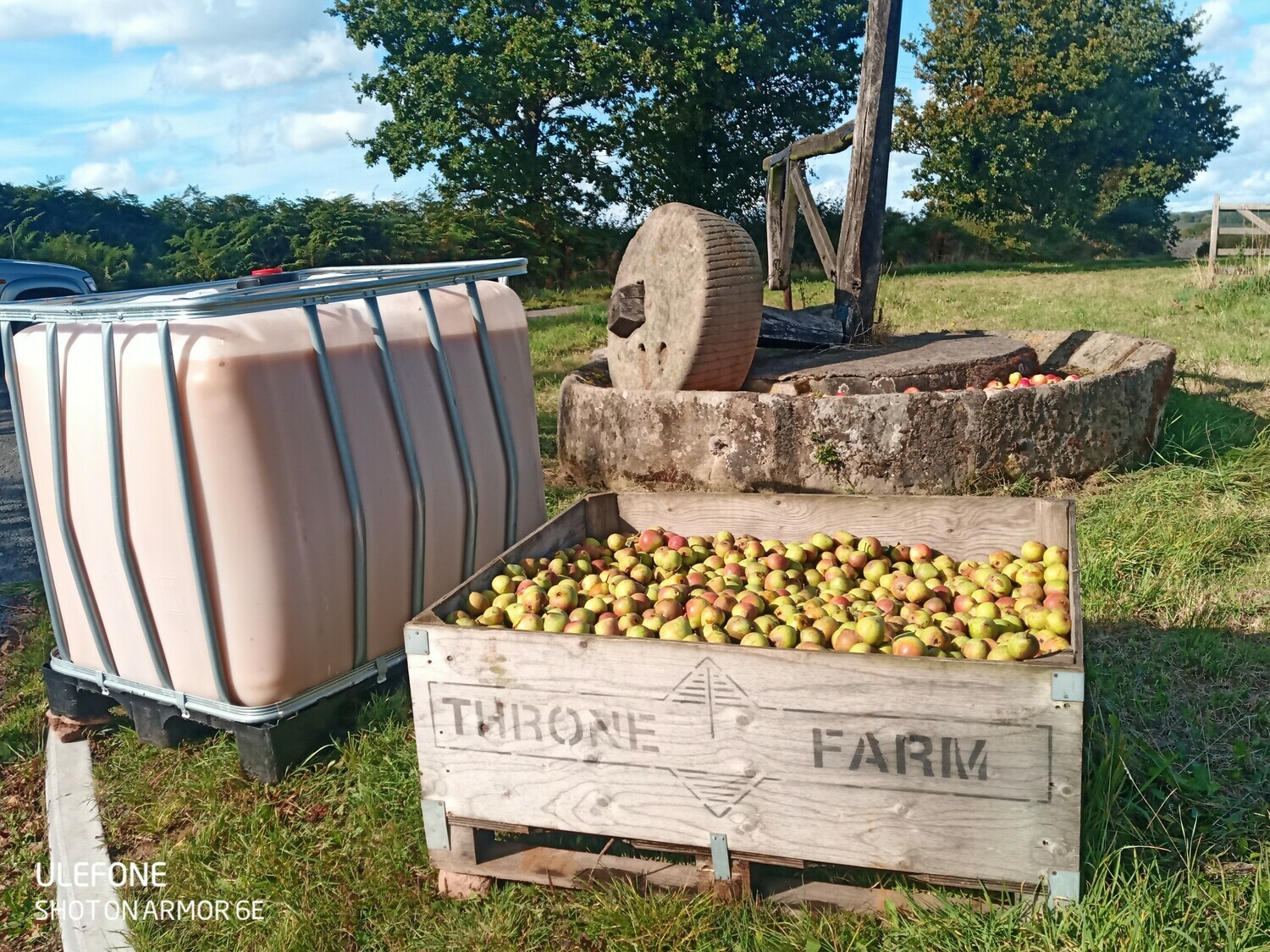 Perry Pear juice 900 Litres Perry Pear juice 900 Litres