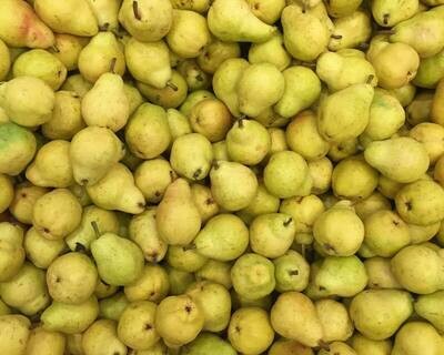 Perry Pears in wooden bins Shake & Catch harvested