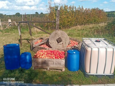 Throne Farm Cider apple juice Medley (900 Litres) Throne Farm Cider apple juice Medley (900 Litres)