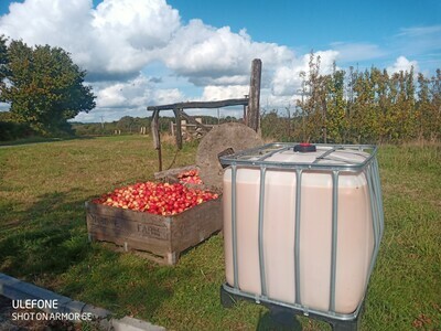 Throne Farm Cider apple juice Medley (900 Litres)