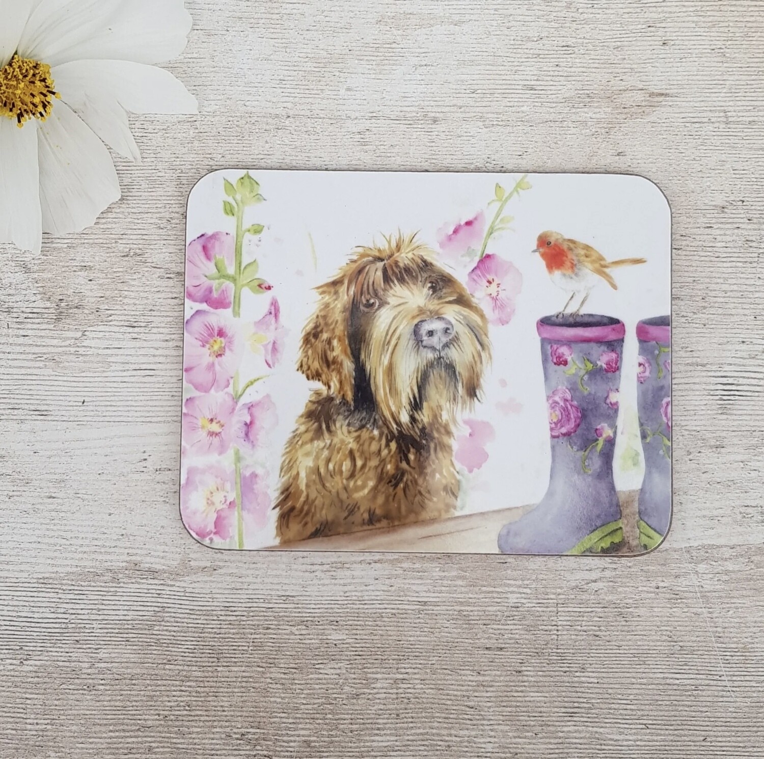 Rufus and the Robin Coaster