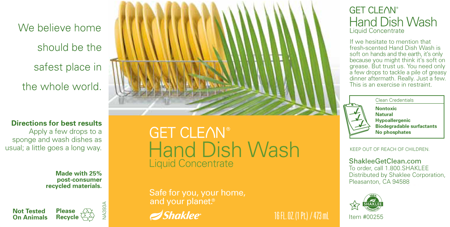 and Dish Wash Liquid Concentrate Label