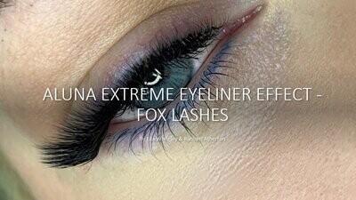 Extreme Eyeliner Effect Mini Manual