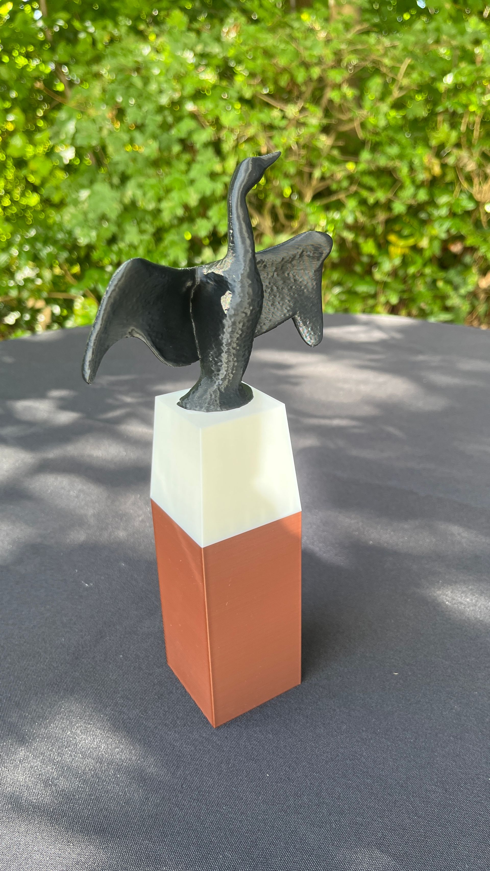 Aalscholver 3D (Kudelstaart)