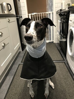 Doggy Coats and Jumpers