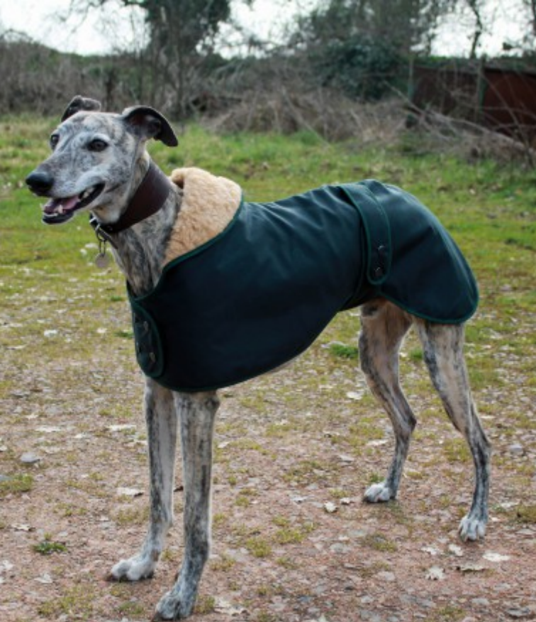 COSIPET - Greyhound Waxed Hunter Jacket - REDUCED