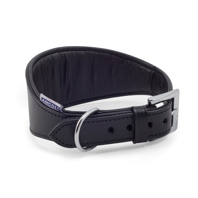 ANCOL - Padded Leather Greyhound and Whippet Collars