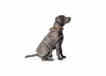 ANCOL - Stormguard Dog Coat