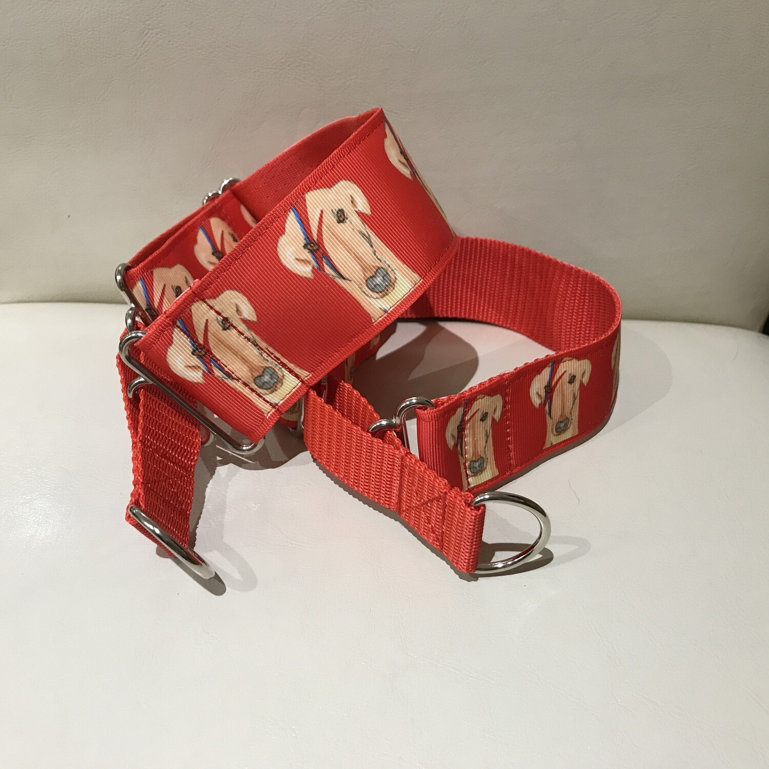 LPDC - Martingale Collar and Lead - Red Ziggy Stardog on Grosgrain Ribbon - Unique Collars designed by me!!