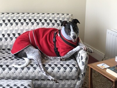 COSIPET - Greyhound Polo Fleece