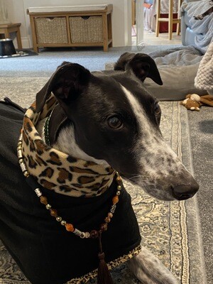HANDMADE WITH LOVE - Black Fleece/Leopard Print Polo Neck - Large Whippet, Lurcher and Greyhound PJ's with Detachable 'Necklace'