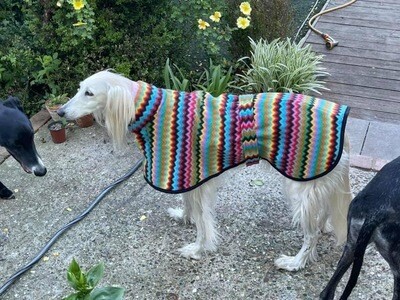 HANDMADE WITH LOVE - Large Whippet, Lurcher and Greyhound PJ's - Zig and Zag
