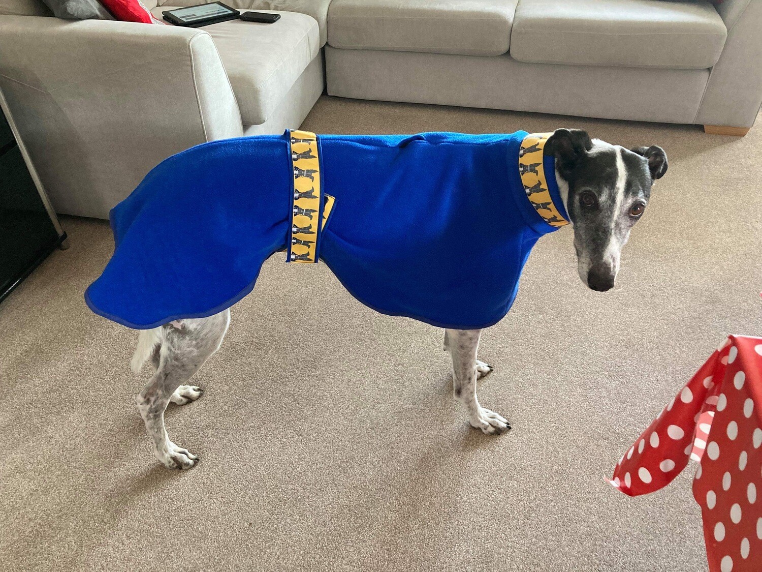 HANDMADE WITH LOVE -  Prince Charming - Large Whippet, Lurcher and Greyhound PJ's