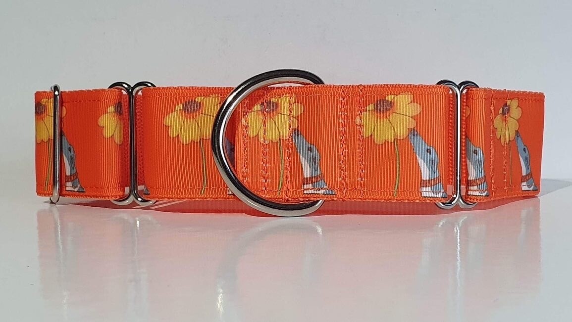 LPDC - Martingale Collar and Lead - Just Sniffing on Orange Grosgrain Ribbon - Unique Collars designed by me!!