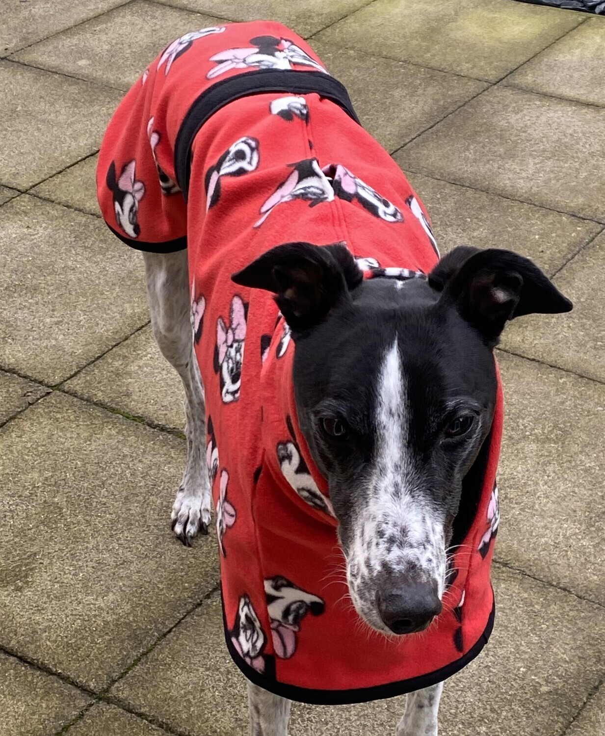 30&quot; Minnie Mouse Single Layer Fleece - Double Layer Snood - AVAILABLE NOW!!