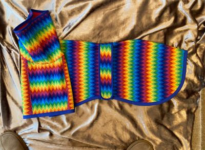 28.5&quot; Rainbow Zig Zag Raincoat - Softshell with Microfleece Lining and Long Roll Down Snood