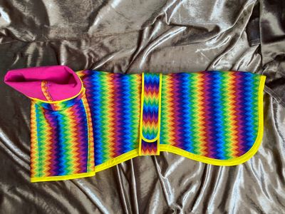 30&quot; Zig Zag Rainbow Softshell Raincoat with microfleece lining and long snood neck