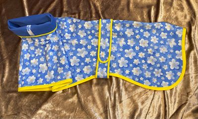 30&quot; Light Blue Daisy Raincoat with Long Neck Snood and Harness Hole - AVAILABLE NOW!!