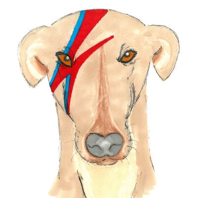 Ziggy Stardog