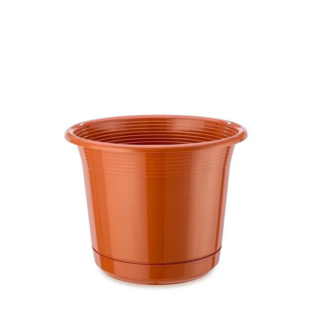 FLOWER POT