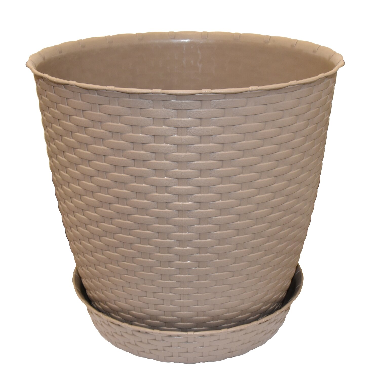 FLOWER POT