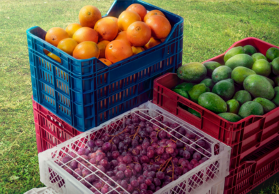 AGROINDUSTRY