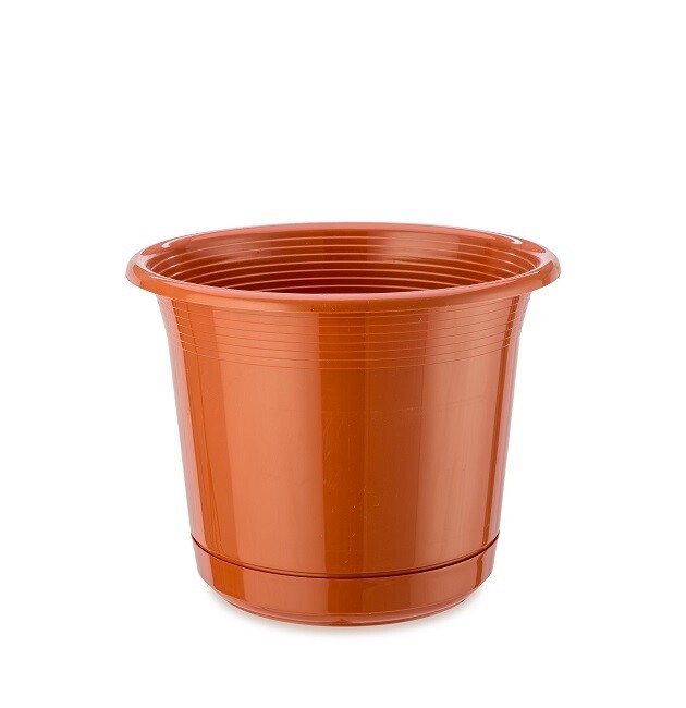 FLOWER POT