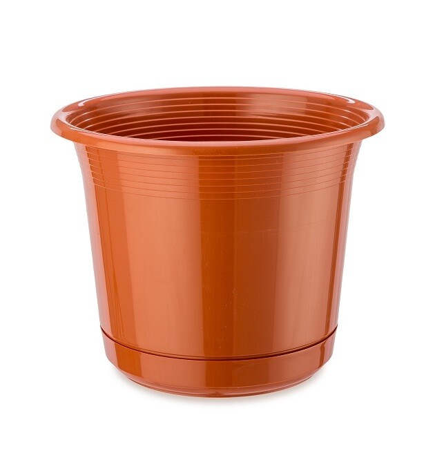 FLOWER POT