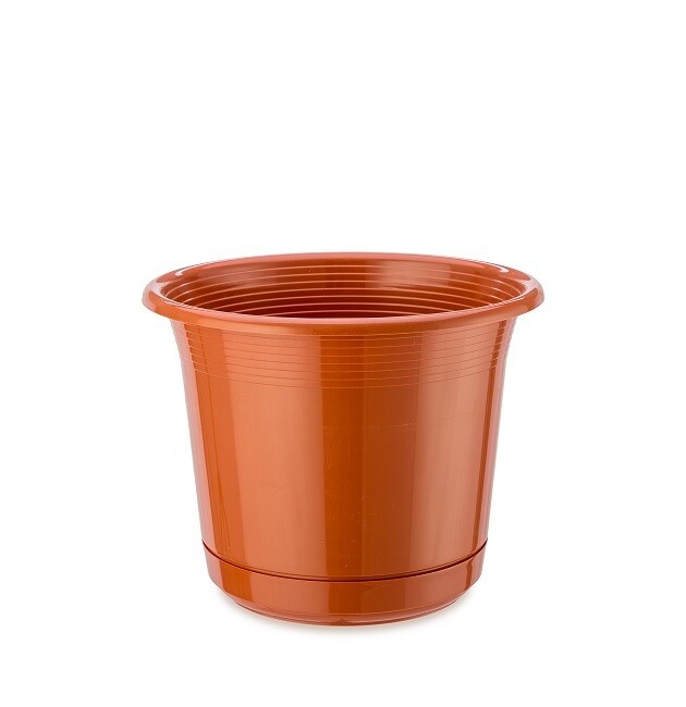 FLOWER POT