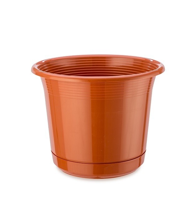 FLOWER POT