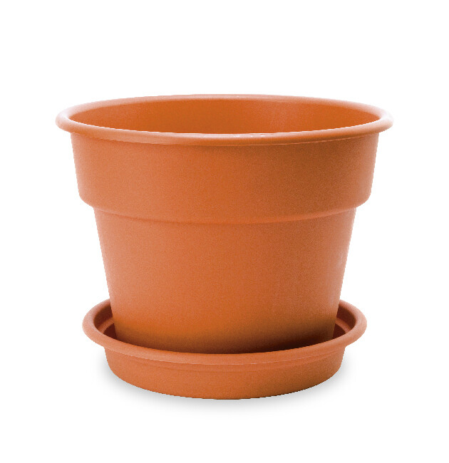 FLOWER POT