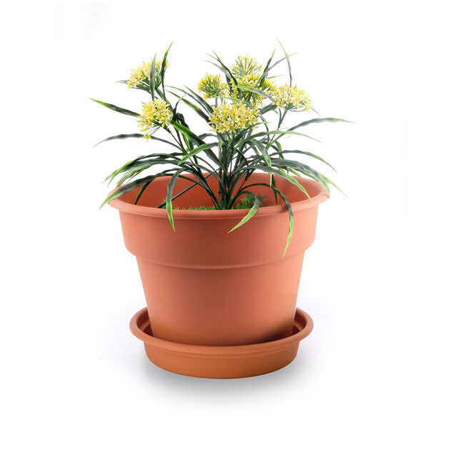 FLOWER POT