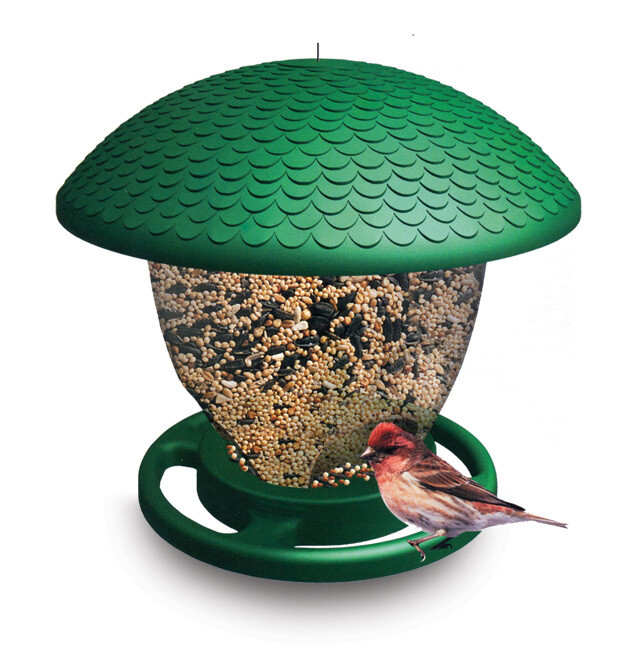 BIRD FEEDER