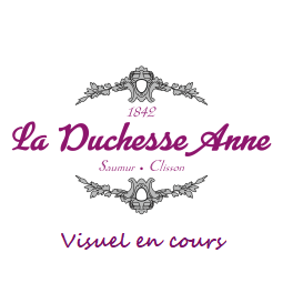 Réglette de fritures en chocolat