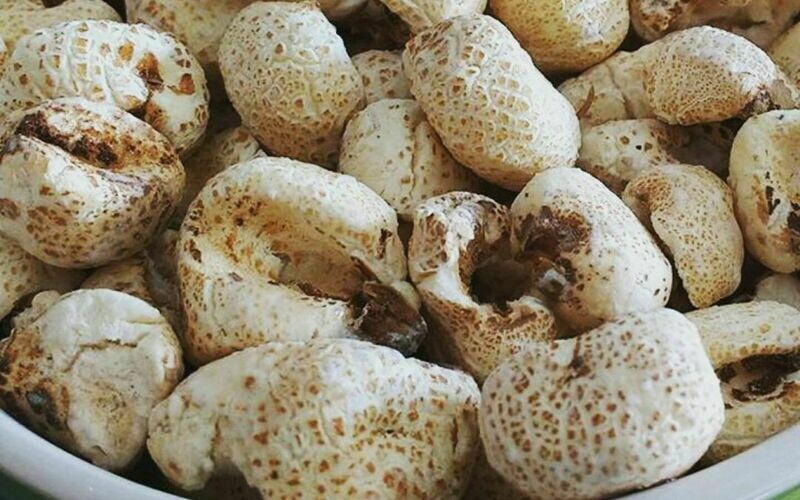 TUTUCAS - 80gr/ PACK X 3U