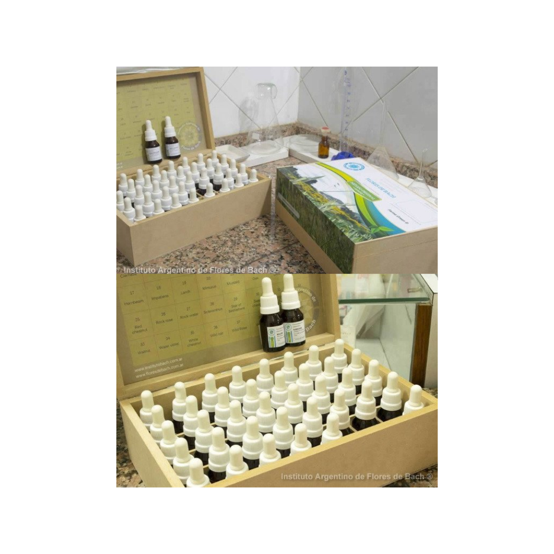 SET DE FLORES DE BACH (CONCENTRADOS)