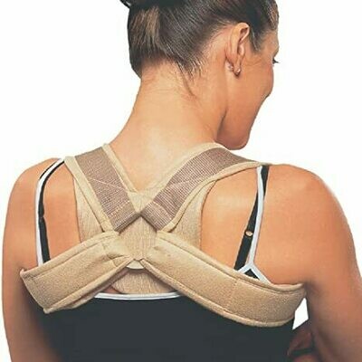 Back Support
